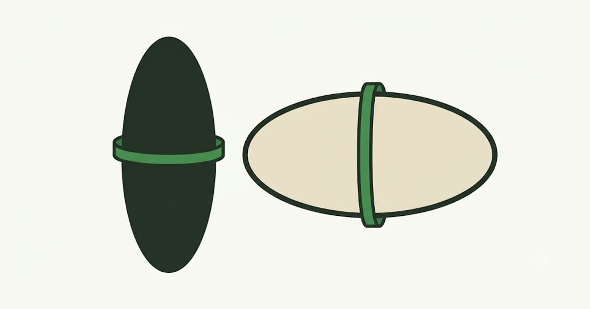 Two chest shapes in cross section
