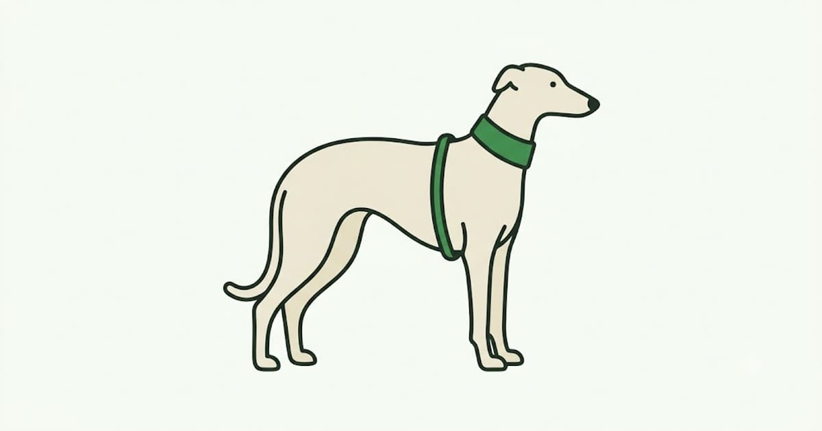 A narrow-headed dog wearing a wide hound collar